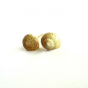 Shells Post Earrings Handmade Of Seashells,..